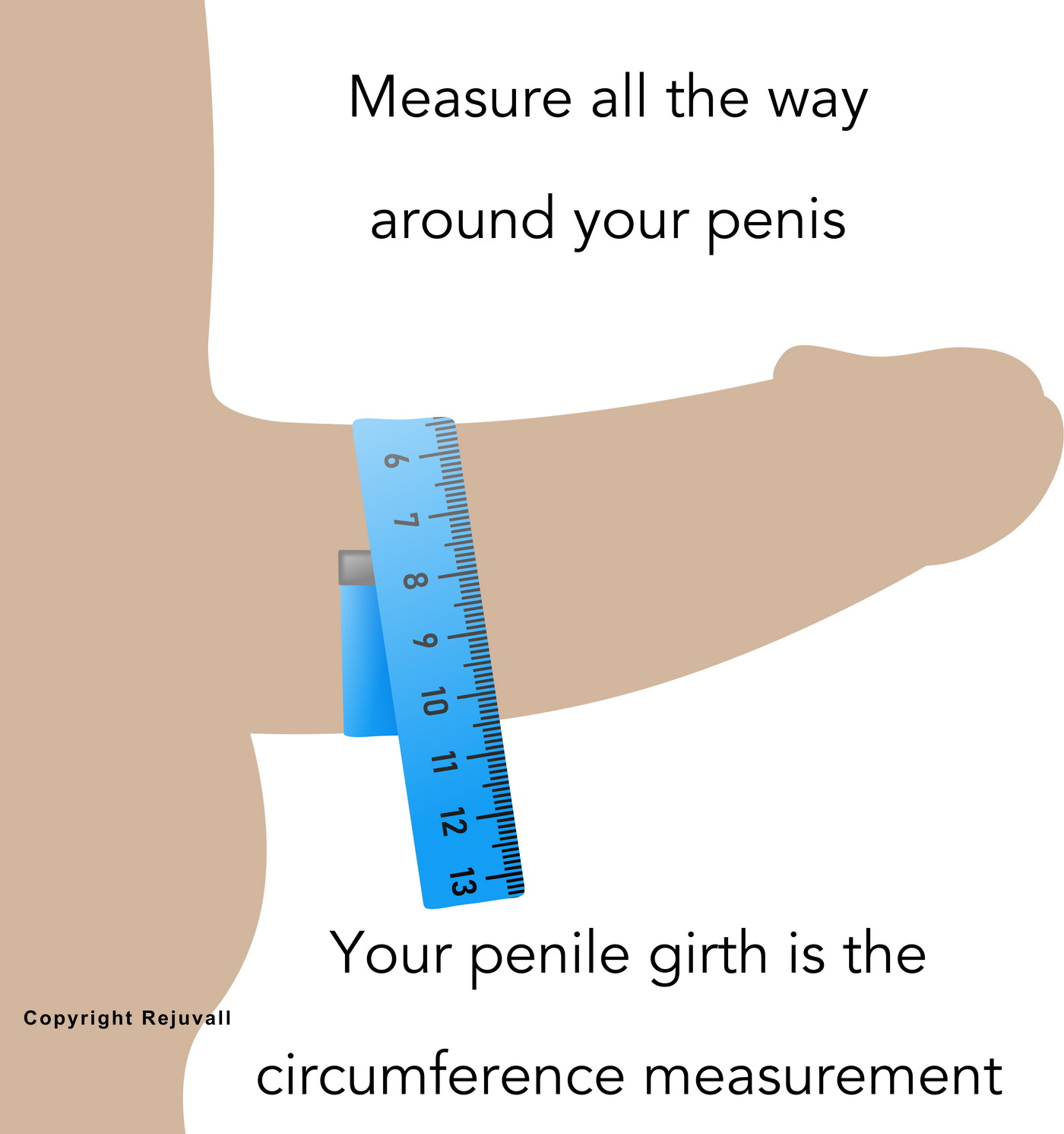 Average Erect Penis Girth And Length