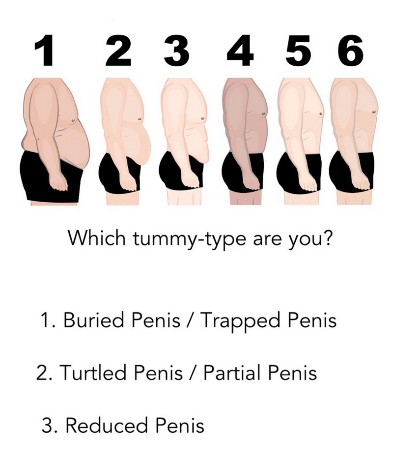 penile growth size chart stomach size