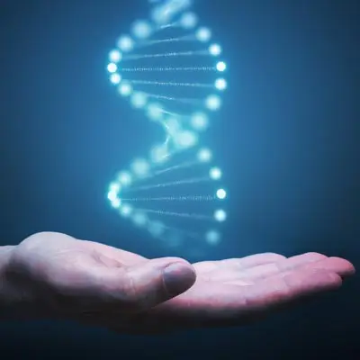 genetics and penile size reduction