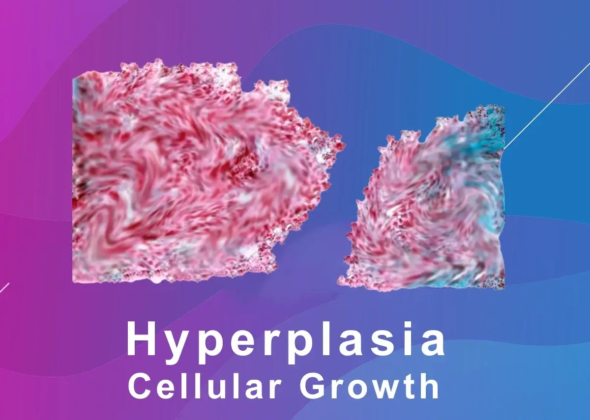 cell growth in penis internal photo