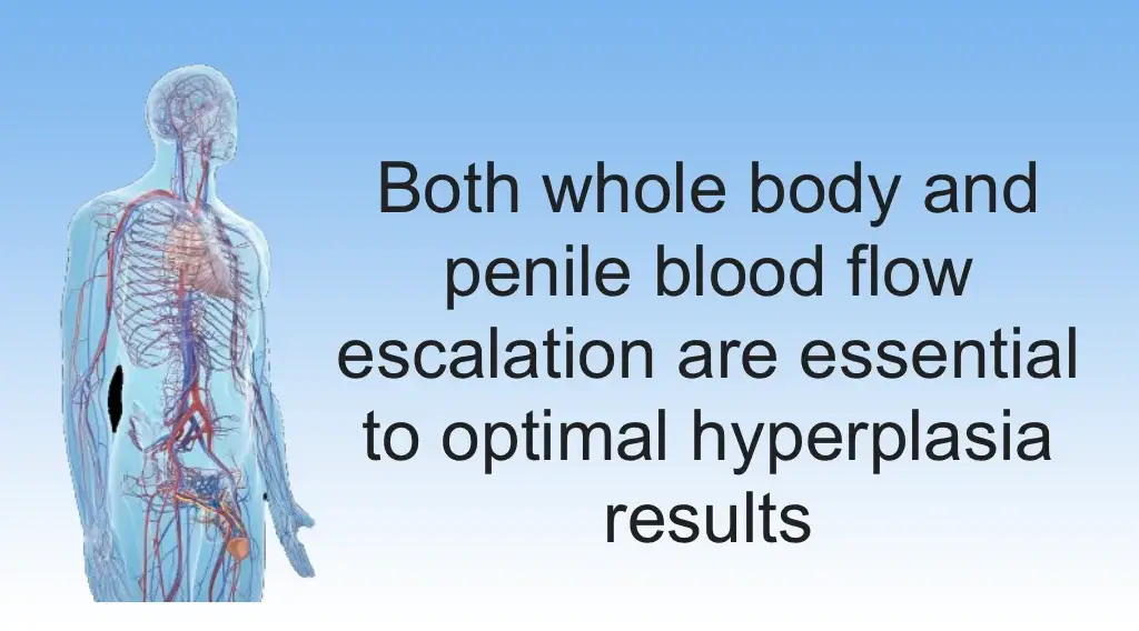 stimulate penile growth hyperplasia success