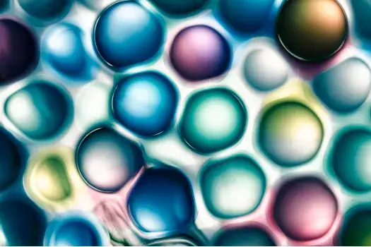 closeup image of multicolored bubbles with thick white membranes around and between them
