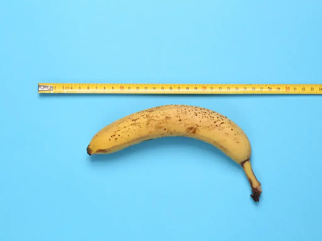 a slightly spotted banana lays flat against a bright blue background next to an extended yellow measuring tape to indicate an increase erect length