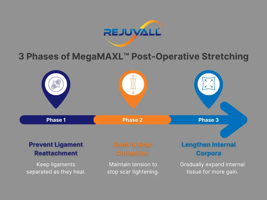 Timeline infographic showing Rejuvall’s three-phase post-operative stretching protocol for penis lengthening surgery, covering ligament reattachment prevention, scar control, and internal tissue expansion.