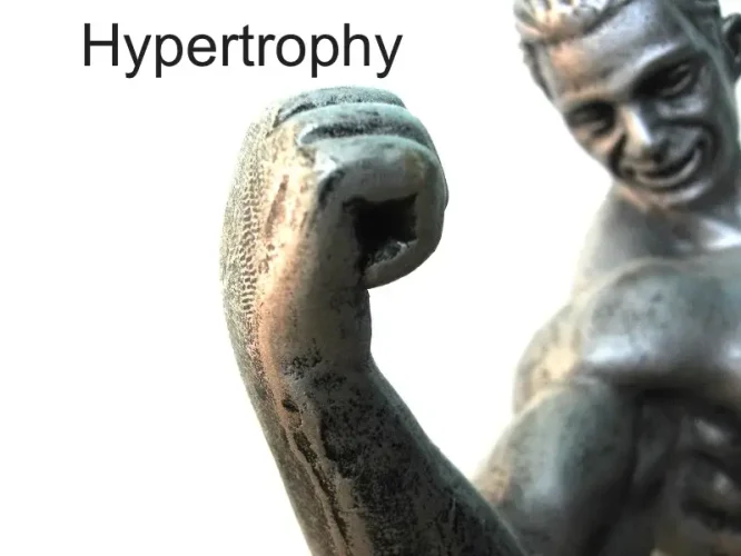 male muscle after hypertrophy pic
